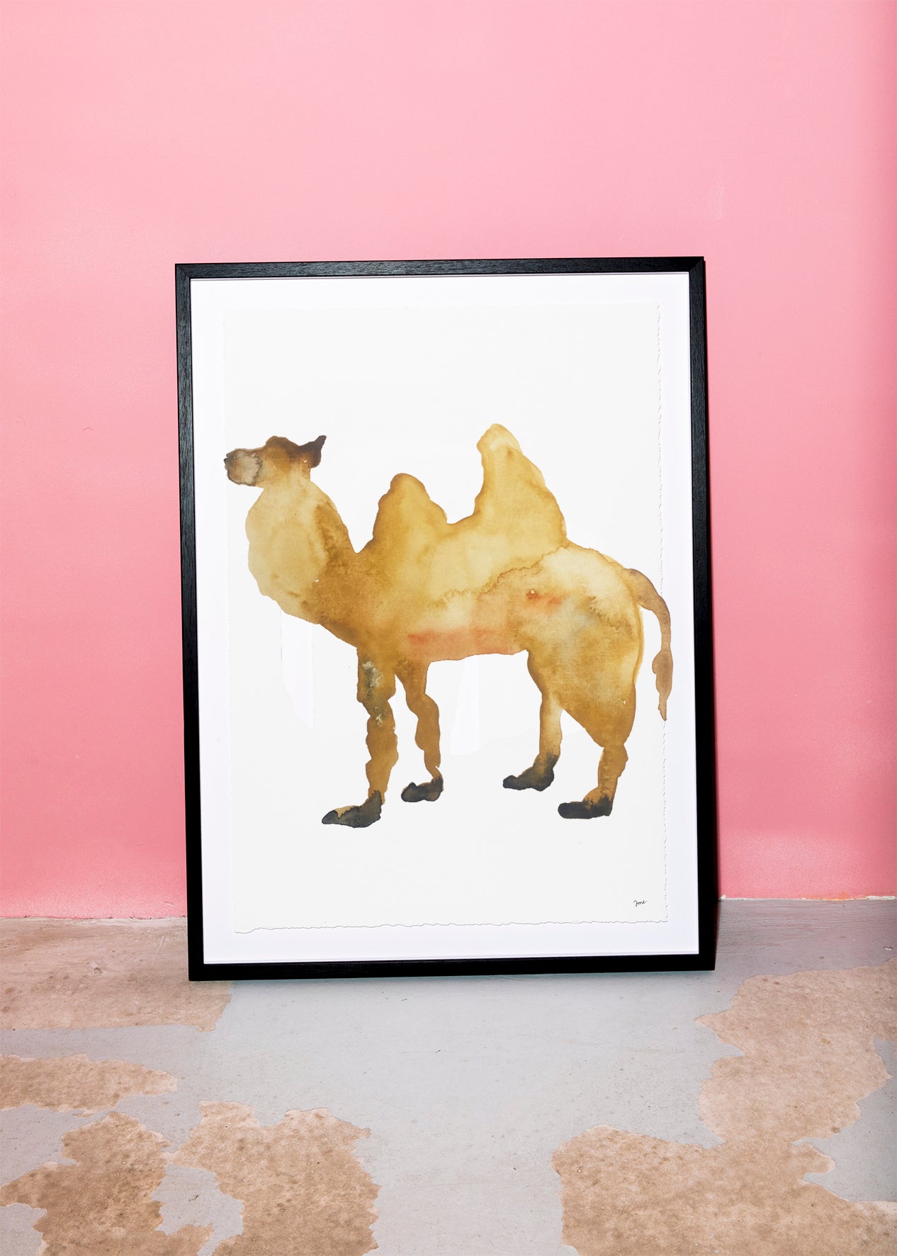 The Camel