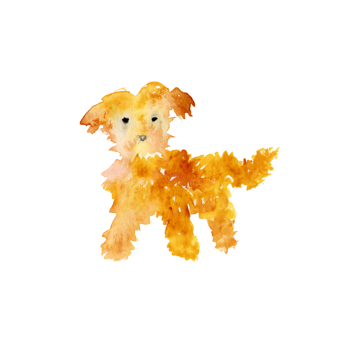 The dog