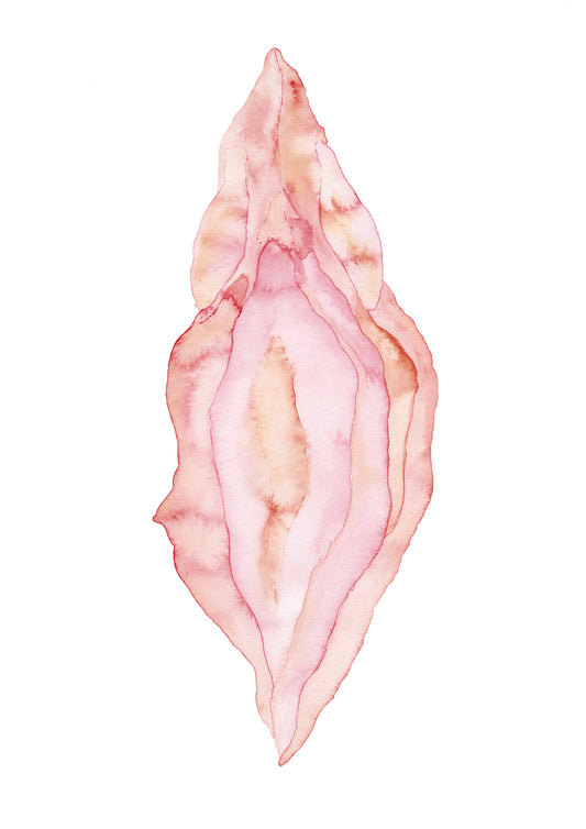 The Vulva